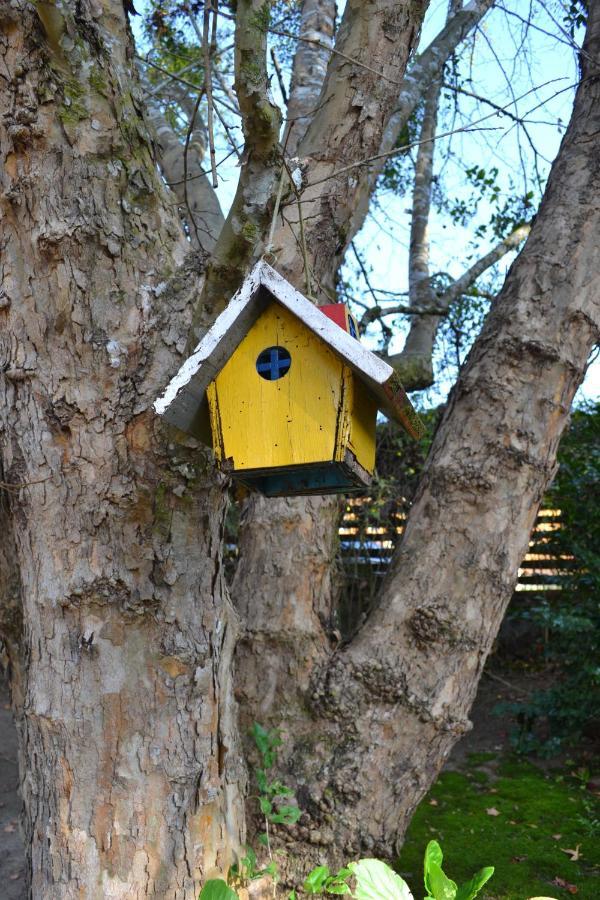 Casa Sirin Villa Campos do Jordão Dış mekan fotoğraf